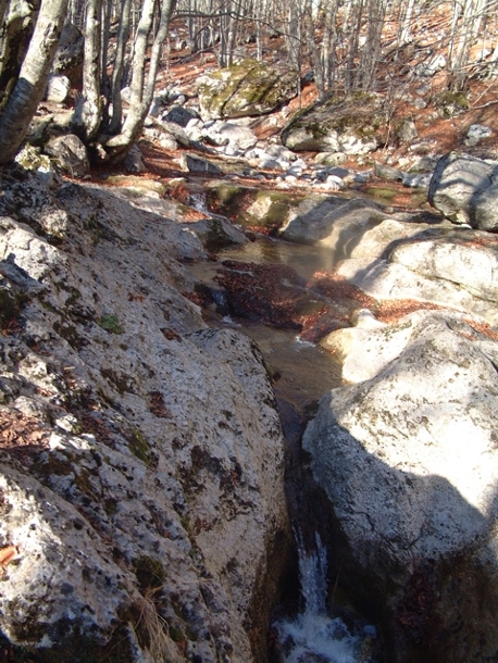 Torrente d''inverno